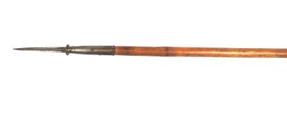 ARMEMENT. Lance de cavalerie modèle 1890...