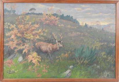 Joseph OBERTHUR (1872-1956): The stag. Oil...