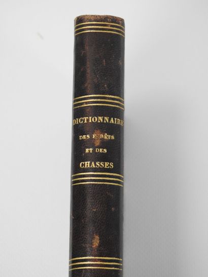 BERTRAND Léon. Dictionnaire des forêts et...