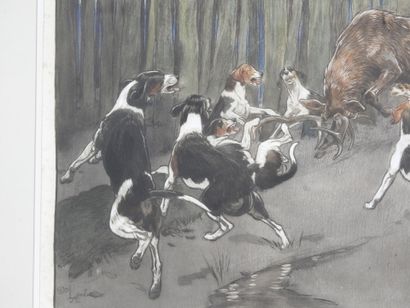 Cecil ALDIN (1870-1935), after : Cerf aux...