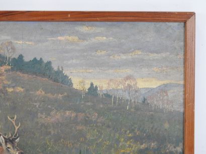 Joseph OBERTHUR (1872-1956): The stag. Oil...
