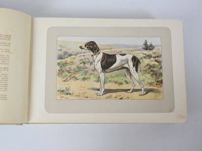 MAHLER P. Les chiens, le gibier et ses ennemis....