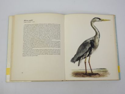 STEPANEK. Le Gibier à plume. Illust. Demartini....