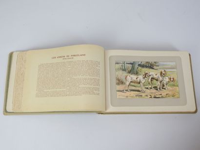 MAHLER P. Les chiens, le gibier et ses ennemis....