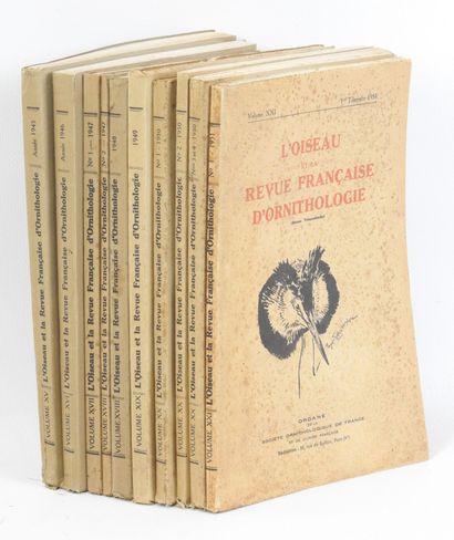 SOCIETE ORNITHOLOGIQUE DE FRANCE : L'oiseau...
