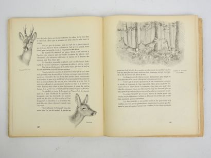 OBERTHUR Joseph. Animaux de vénerie et chasse...