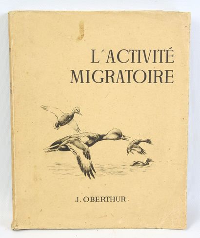 OBERTHUR Joseph. L'activité migratoire. Rennes-Paris,...