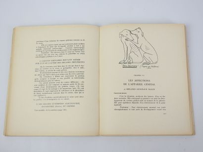 VAUGIEN Paul. Le chien et sa médecine. Illust....
