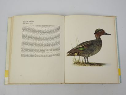 STEPANEK. Le Gibier à plume. Illust. Demartini....