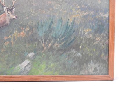 Joseph OBERTHUR (1872-1956): The stag. Oil...