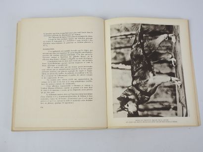VAUGIEN Paul. Le chien et sa médecine. Illust....