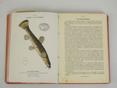 RAVERET-WATTEL. Atlas de poche des Poissons...