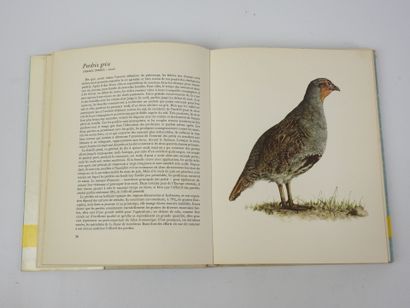 STEPANEK. Le Gibier à plume. Illust. Demartini....