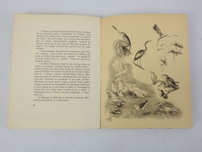 OBERTHUR Joseph. Gibiers de passage, chasse...