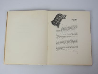 WITT Jean de. Emotions de chasse. Illust....