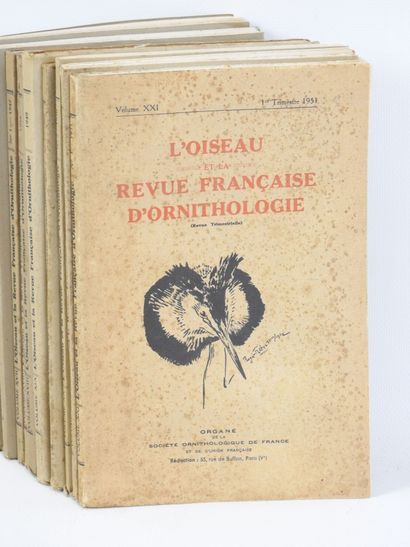 SOCIETE ORNITHOLOGIQUE DE FRANCE : L'oiseau...