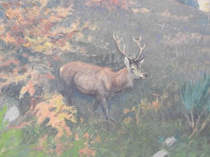 Joseph OBERTHUR (1872-1956): The stag. Oil...