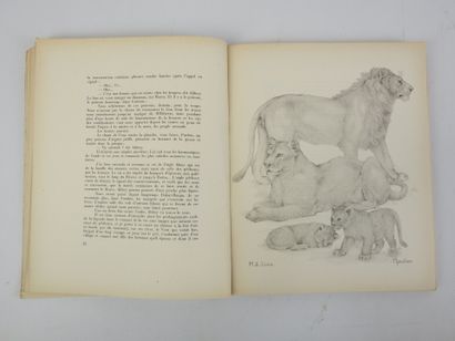 GUILLOT René. Chasses de Brousse, savanes...