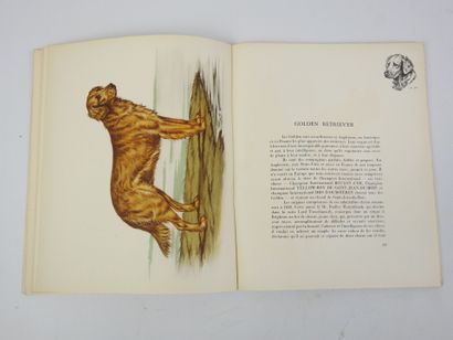 BONVOULOIR Cte J. de. Les Retrievers et leur...