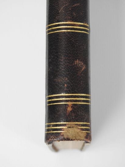 BERTRAND Léon. Dictionnaire des forêts et...