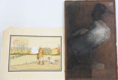 FRENCH SCHOOL circa 1900: Duck. Pastel signed...
