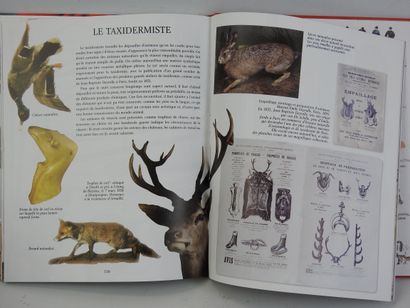 Amaury de Louvencourt. La vènerie. Art et...
