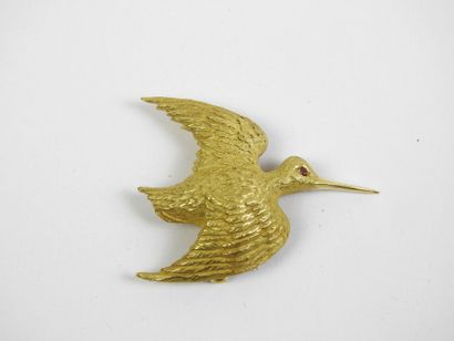 Woodcock