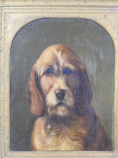 Gustave MOHLER (1836-1920): Portrait of a...