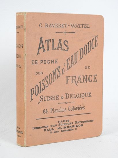 RAVERET-WATTEL. Atlas de poche des Poissons...