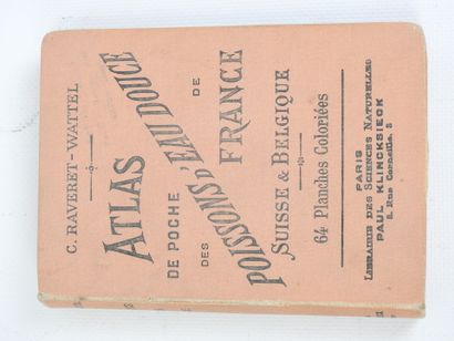 RAVERET-WATTEL. Atlas de poche des Poissons...