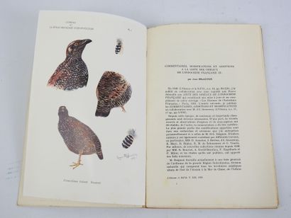 SOCIETE ORNITHOLOGIQUE DE FRANCE : L'oiseau...