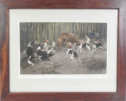 Cecil ALDIN (1870-1935), after : Cerf aux...