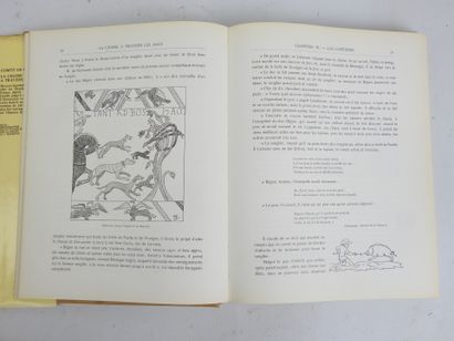 CHABOT Comte de. La chasse à travers les...