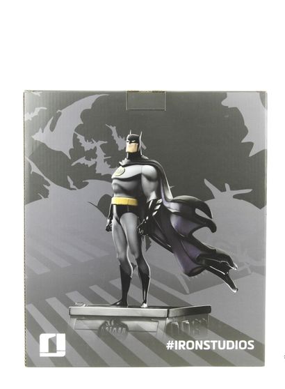 DC COMICS : The Batman - The animated series....