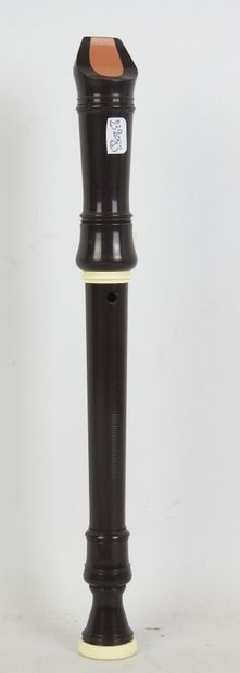 HOHNER : Flûte à bec en bois et bâton de...