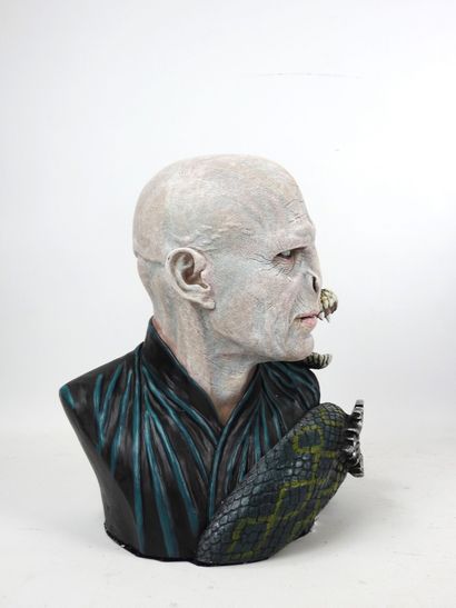 HARRY POTTER : Lord Voldemort et Nagini....
