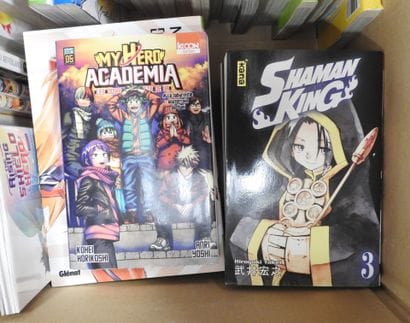 MANGA : Lot de manga divers dont Naruto,...