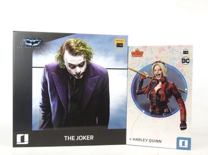 DC COMICS : 2 figurines de collection :
-...