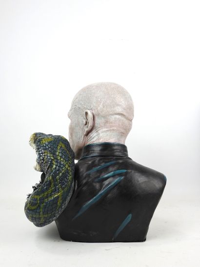 HARRY POTTER : Lord Voldemort et Nagini....