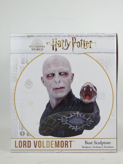 HARRY POTTER : Lord Voldemort et Nagini....