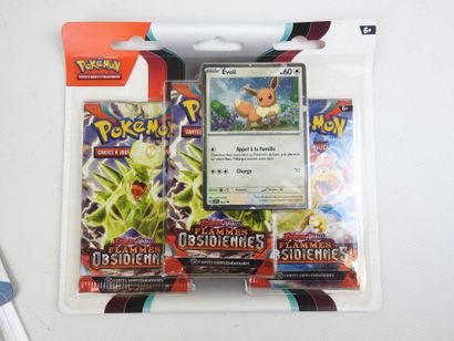 POKEMON : 3 coffrets de cartes à jouer et...