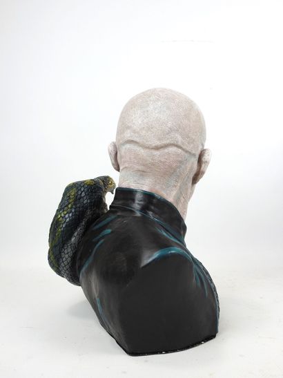 HARRY POTTER : Lord Voldemort et Nagini....