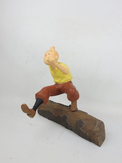 LEBLON-DELIENNE - HERGE - TINTIN : Tintin...