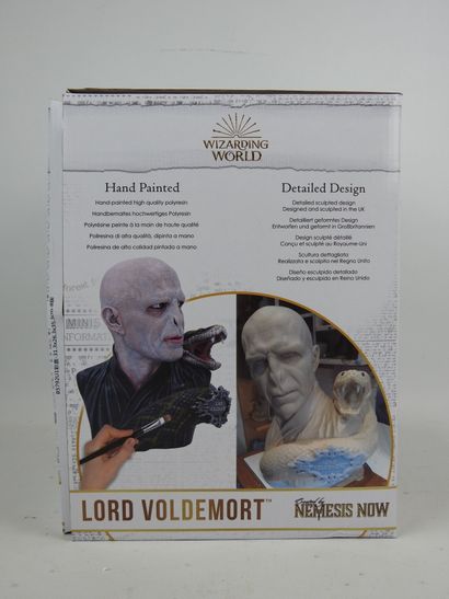 HARRY POTTER : Lord Voldemort et Nagini....