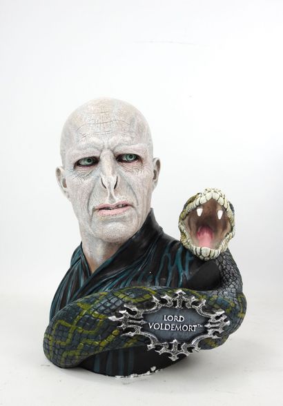 HARRY POTTER : Lord Voldemort et Nagini....