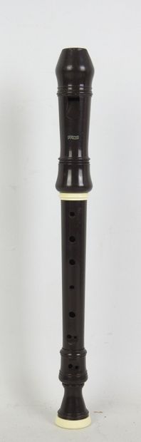 HOHNER : Flûte à bec en bois et bâton de...