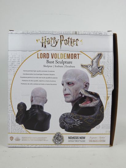 HARRY POTTER : Lord Voldemort et Nagini....