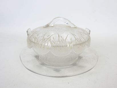 Glass JUG and saucer with engraved reed decoration...
