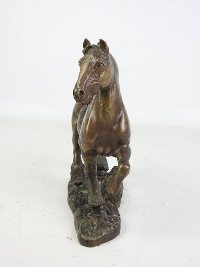 Horse piaffe. Bronze subject. H : 22 - L...