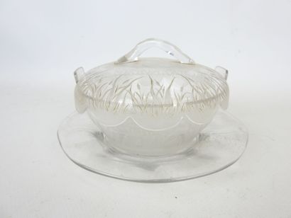 Glass JUG and saucer with engraved reed decoration...